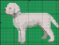 Mellanschnauzer (svart)