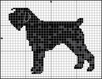 Novia Scotia Duck Tolling Retriever