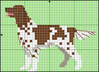 Papillon (svart o vit)