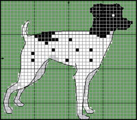 Parson Russel Terrier