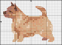 Polski Owczarek Nizinny