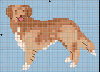 Portugisisk Vattenhund