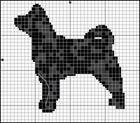 Shetland Sheepdog (blue merle)