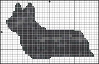 Weish Corgi Pembroke