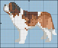 Weish Springer Spaniel