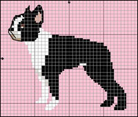 Bouvier des Flandres