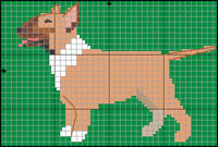 Bullterrier (tigrerad)