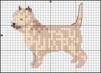 Cavalier King Charles Spaniel (black-tan)