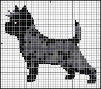 Cavalier King Charles Spaniel (bienheim)