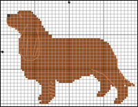 Chihuahua (korth&aring;rig)