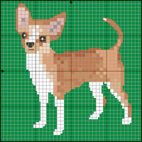 Chinese Crested Hairless