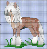 Chinese Crested Powder Puff (svart/vit)