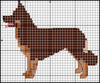 Cocker Spaniel (ljusbrun)