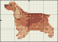 Collie (korth&aring;rig; blue merle)