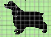 Collie (korth&aring;rig; sobel) ALIGN=