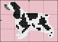 Collie (korth&aring;rig; tricolor) ALIGN=