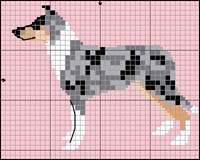 Collie (l&aring;ngh&aring;rig; blue merle)