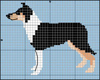 Collie (l&aring;ngh&aring;rig; tricolor)