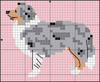 Curly Coated Retriever)