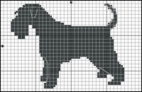 Engelsk Springer Spaniel