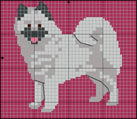 Flat Coated Retriever