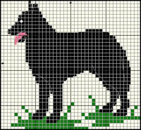 Irish Softcoated Weathen Terrier