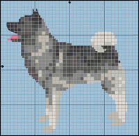 Irl&auml;ndsk R&ouml;d/Vit Setter