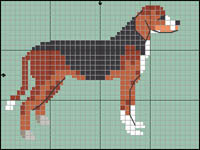 Irl&auml;ndsk Setter