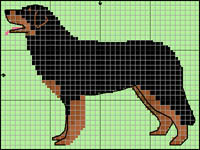 Irl&auml;ndsk Terrier