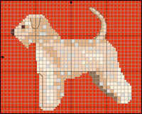 Irl&auml;ndsk Vattenspaniel