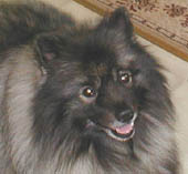 Jax