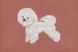 Bichon Frisé